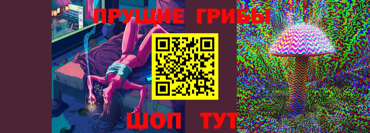 Псилоцибиновые грибы Cubensis Семёнов